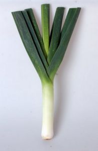 leek